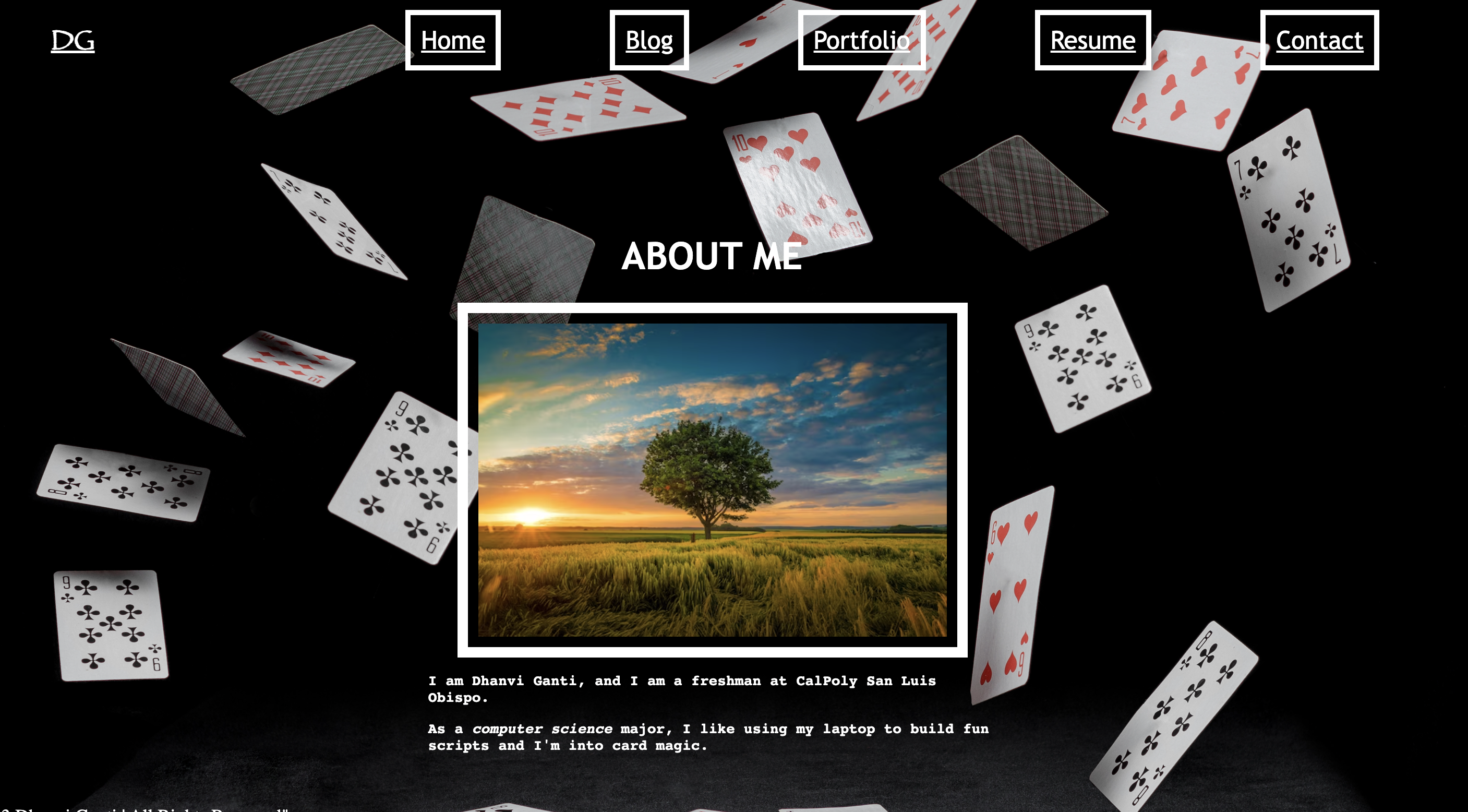Homepage screenshot to show in portfolio.